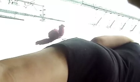 و بلافاصله شروع به نوازش بدن زیبا, sexدر خواب آن بود